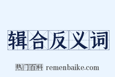 辑合反义词是什么意思的图片